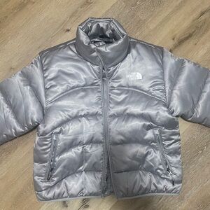 the North Face Jacket 2000 in Metallic Silver